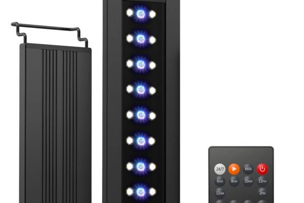 best aquarium lights