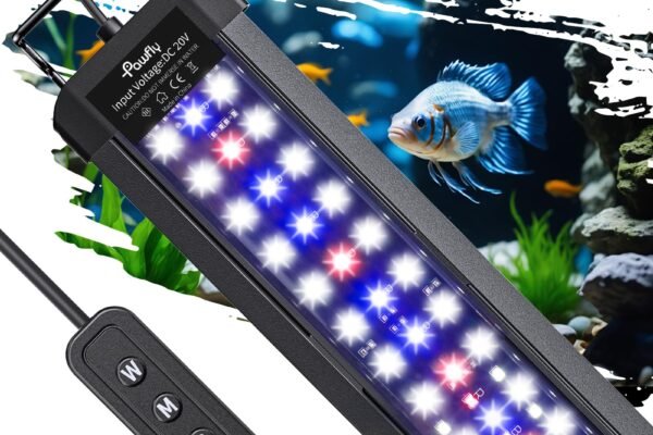 best light for aquarium plants