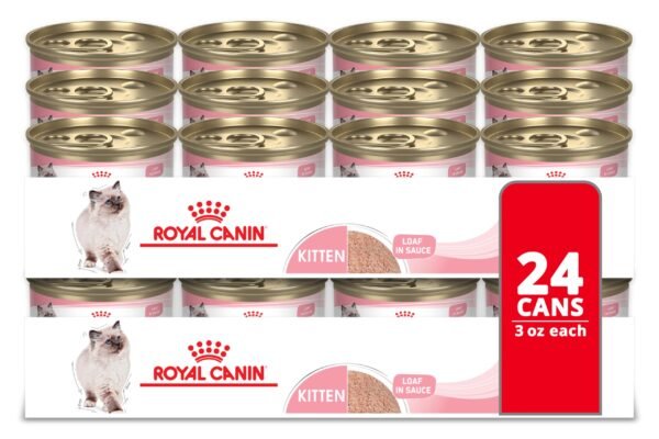best royal canin cat food