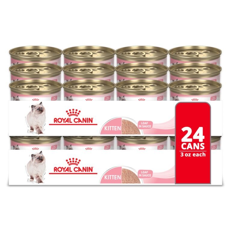 best royal canin cat food