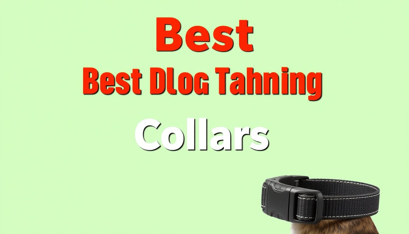 best dog shock training collars